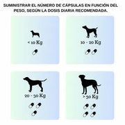 VITTALOGY Condroprotetor para cães. Anti - inflamatório natural com colagénio, condroitina, hialurónico e açafrão. Complemento alimentar para quadris, articulações e cartilagens (120 cápsulas) - PetDoctors - Loja Online