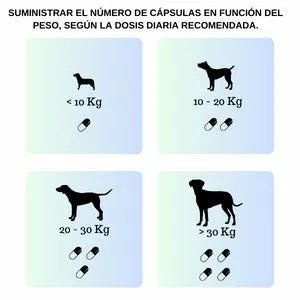 VITTALOGY Condroprotetor para cães. Anti - inflamatório natural com colagénio, condroitina, hialurónico e açafrão. Complemento alimentar para quadris, articulações e cartilagens (120 cápsulas) - PetDoctors - Loja Online