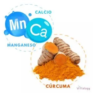 VITTALOGY Condroprotetor para cães. Anti - inflamatório natural com colagénio, condroitina, hialurónico e açafrão. Complemento alimentar para quadris, articulações e cartilagens (120 cápsulas) - PetDoctors - Loja Online