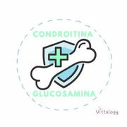 VITTALOGY Condroprotetor para cães. Anti - inflamatório natural com colagénio, condroitina, hialurónico e açafrão. Complemento alimentar para quadris, articulações e cartilagens (120 cápsulas) - PetDoctors - Loja Online