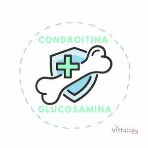 VITTALOGY Condroprotetor para cães. Anti - inflamatório natural com colagénio, condroitina, hialurónico e açafrão. Complemento alimentar para quadris, articulações e cartilagens (120 cápsulas) - PetDoctors - Loja Online