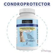 VITTALOGY Condroprotetor para cães. Anti - inflamatório natural com colagénio, condroitina, hialurónico e açafrão. Complemento alimentar para quadris, articulações e cartilagens (120 cápsulas) - PetDoctors - Loja Online