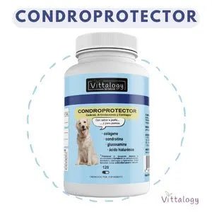VITTALOGY Condroprotetor para cães. Anti - inflamatório natural com colagénio, condroitina, hialurónico e açafrão. Complemento alimentar para quadris, articulações e cartilagens (120 cápsulas) - PetDoctors - Loja Online