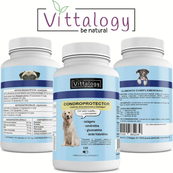 VITTALOGY Condroprotetor para cães. Anti - inflamatório natural com colagénio, condroitina, hialurónico e açafrão. Complemento alimentar para quadris, articulações e cartilagens (120 cápsulas) - PetDoctors - Loja Online