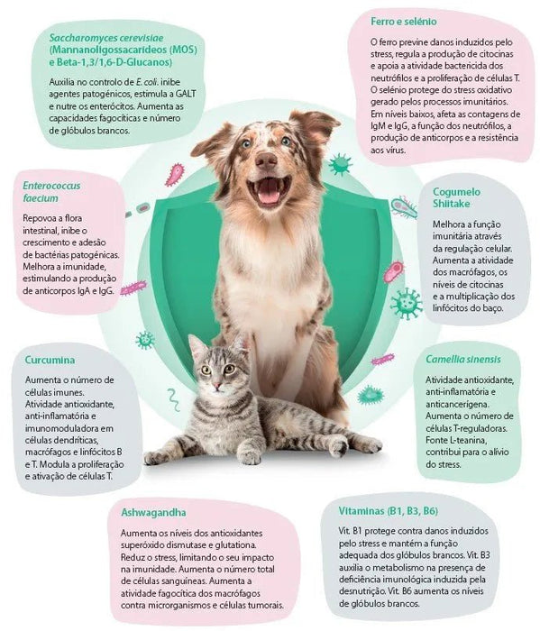 WeMuno Suporte do Sistema Imunitário em Cães e Gatos - PetDoctors - Loja Online