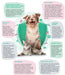 WeMuno Suporte do Sistema Imunitário em Cães e Gatos - PetDoctors - Loja Online