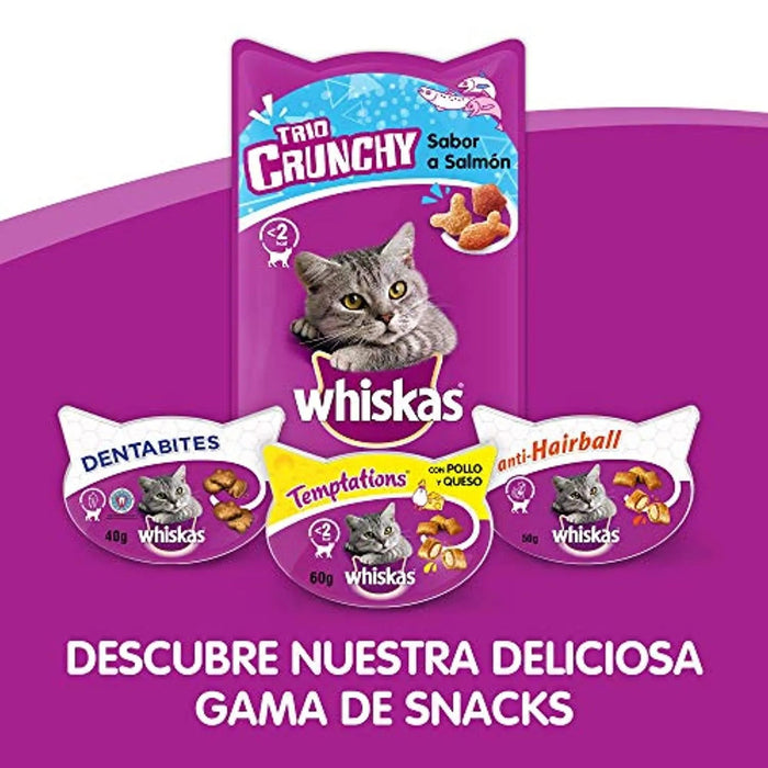 Whiskas Anti - Hairball para evitar as Bolas de Pêlo nos Gatos (Pack de 8 x 60g) - PetDoctors - Loja Online