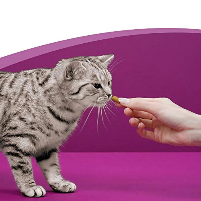 Whiskas Anti - Hairball para evitar as Bolas de Pêlo nos Gatos (Pack de 8 x 60g) - PetDoctors - Loja Online