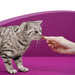Whiskas Anti - Hairball para evitar as Bolas de Pêlo nos Gatos (Pack de 8 x 60g) - PetDoctors - Loja Online