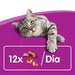 Whiskas Anti - Hairball para evitar as Bolas de Pêlo nos Gatos (Pack de 8 x 60g) - PetDoctors - Loja Online
