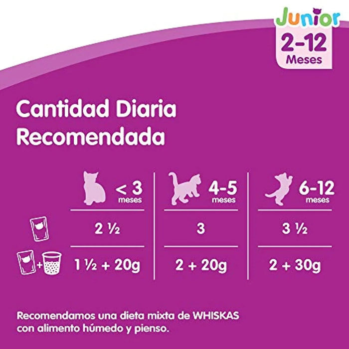 Whiskas Comida Húmida para Gatos Selecção Júnior - Carnes em Gelatina, Multipack - PetDoctors - Loja Online