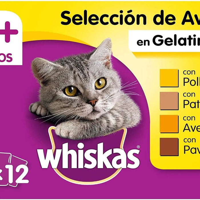 Whiskas Comida Húmida para Gatos Selecção Júnior - Carnes em Gelatina, Multipack - PetDoctors - Loja Online