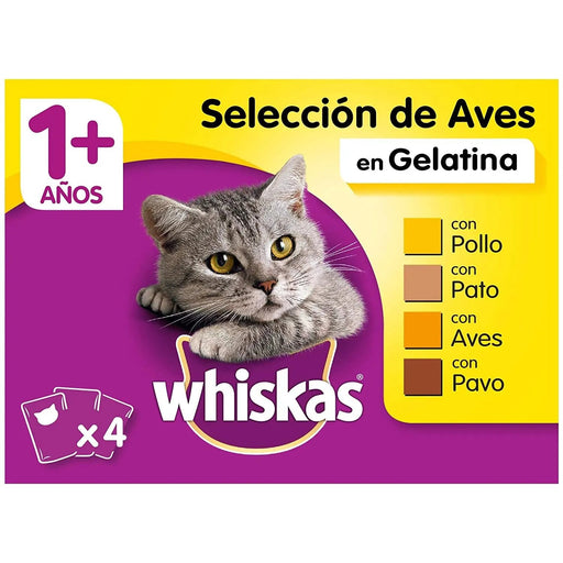 Whiskas Comida Húmida para Gatos Selecção Júnior - Carnes em Gelatina, Multipack - PetDoctors - Loja Online