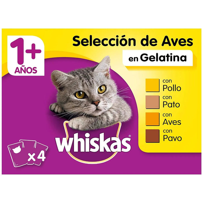 Whiskas Comida Húmida para Gatos Selecção Júnior - Carnes em Gelatina, Multipack - PetDoctors - Loja Online