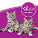 Whiskas Dentabites - Snacks para a Higiene Oral dos Gatos (Pack de 8 x 40g) - PetDoctors - Loja Online