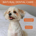 Wildfang - Ossos para mastigar feitos com queijo Churpi do Himalaia - alternativa natural para cães - cuidado dentário e alívio do stress - PetDoctors - Loja Online