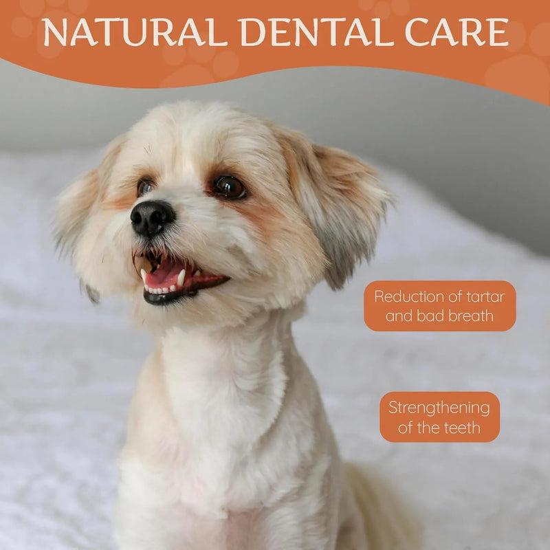 Wildfang - Ossos para mastigar feitos com queijo Churpi do Himalaia - alternativa natural para cães - cuidado dentário e alívio do stress - PetDoctors - Loja Online