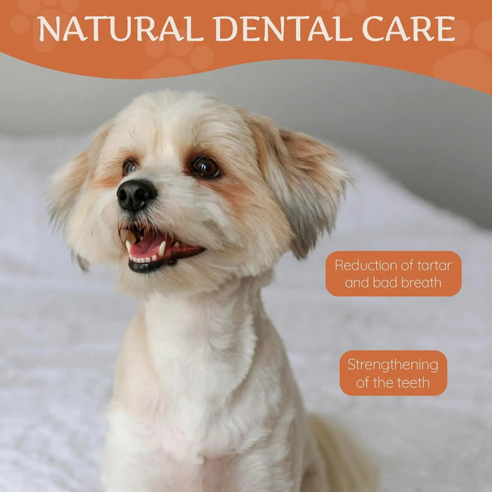 Wildfang - Ossos para mastigar feitos com queijo Churpi do Himalaia - alternativa natural para cães - cuidado dentário e alívio do stress - PetDoctors - Loja Online