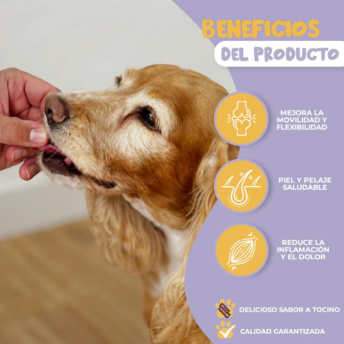 Woffy FlexiJoint Condroprotetor para cães grandes e pequenos com glucosamina, condroitina, anti - inflamatório 100% natural, melhora a mobilidade e a saúde articular - PetDoctors - Loja Online