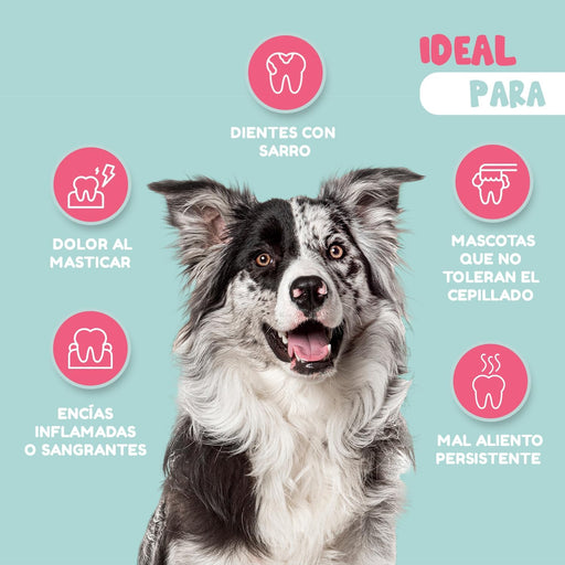 Woffy Stop Smelly pó dental natural para mau hálito de cão - elimina o tártaro, reduz a placa e melhora o mau hálito (com algas ascophyllum e probióticos) - PetDoctors - Loja Online