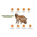 Wolf Belly Cápsulas óleo de peixe para cães e gatos, 100% natural (60 cápsulas) Ômega 3 cães, anti - inflamatório para cães, pele mais saudável e brilhante, óleo de sardinhas para gatos - PetDoctors - Loja Online