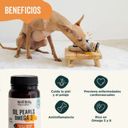 Wolf Belly Cápsulas óleo de peixe para cães e gatos, 100% natural (60 cápsulas) Ômega 3 cães, anti - inflamatório para cães, pele mais saudável e brilhante, óleo de sardinhas para gatos - PetDoctors - Loja Online