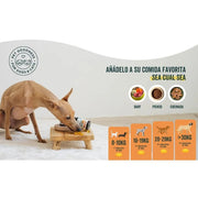 Wolf Belly Cápsulas óleo de peixe para cães e gatos, 100% natural (60 cápsulas) Ômega 3 cães, anti - inflamatório para cães, pele mais saudável e brilhante, óleo de sardinhas para gatos - PetDoctors - Loja Online