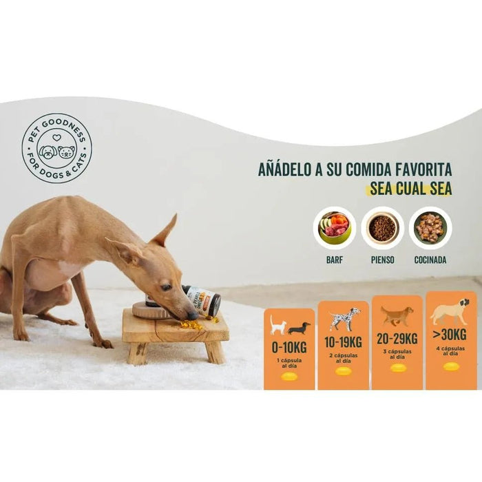 Wolf Belly Cápsulas óleo de peixe para cães e gatos, 100% natural (60 cápsulas) Ômega 3 cães, anti - inflamatório para cães, pele mais saudável e brilhante, óleo de sardinhas para gatos - PetDoctors - Loja Online