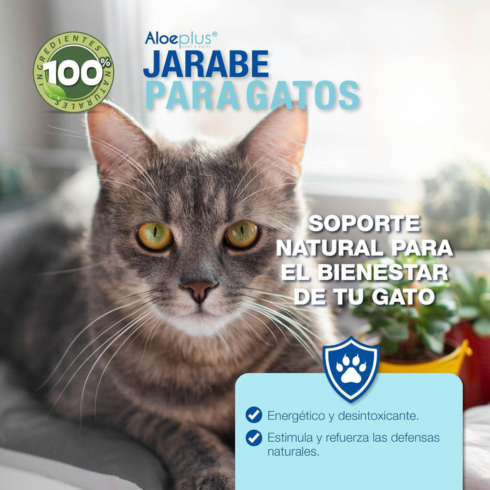 Xarope para gatos de Aloe Arborescens para fortalecer o sistema imunitário (ajuda a prevenir dermatite, comichões, gengivite, gastrite e refluxo) - 100 ml - PetDoctors - Loja Online