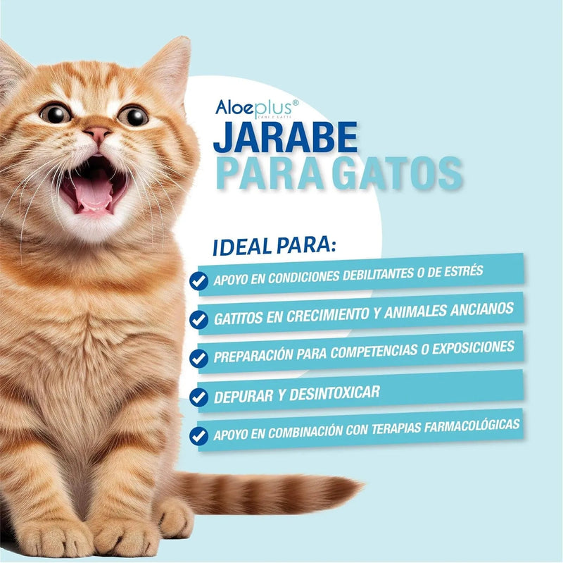 Xarope para gatos de Aloe Arborescens para fortalecer o sistema imunitário (ajuda a prevenir dermatite, comichões, gengivite, gastrite e refluxo) - 100 ml - PetDoctors - Loja Online