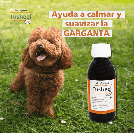 Xarope para Tosse em Cães e Gatos | Tusheel Vet 150ml | Heel - PetDoctors - Loja Online