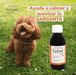 Xarope para Tosse em Cães e Gatos | Tusheel Vet 150ml | Heel - PetDoctors - Loja Online
