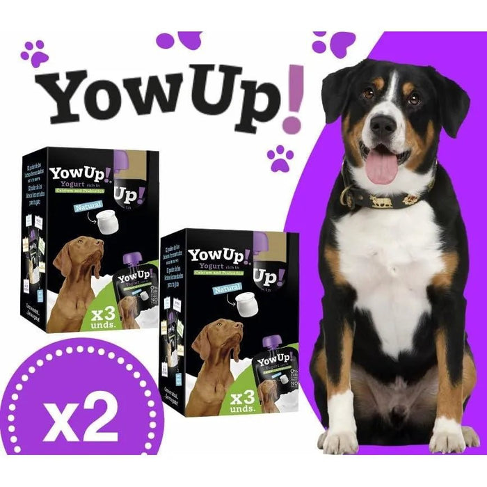 YowUp! Yogurt para cães: Snacks deliciosos naturais e saudáveis para o seu animal de estimação (6 unidades) - PetDoctors - Loja Online