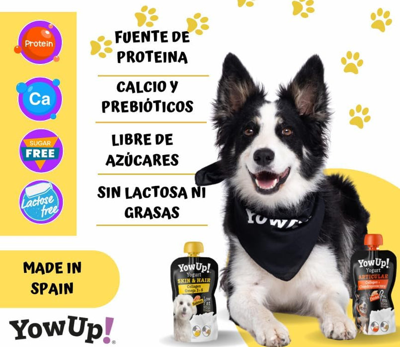 YowUp! Yogurt para cães: Snacks deliciosos naturais e saudáveis para o seu animal de estimação (6 unidades) - PetDoctors - Loja Online