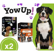 YowUp! Yogurt para cães: Snacks deliciosos naturais e saudáveis para o seu Pet - 3 sabores disponíveis (6 unidades) (3 natural + 3 frango) - PetDoctors - Loja Online