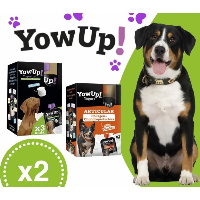 YowUp! Yogurt para cães: Snacks deliciosos naturais e saudáveis para o seu Pet - 3 sabores disponíveis (6 unidades) (3 natural + 3 frango) - PetDoctors - Loja Online