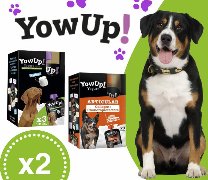 YowUp! Yogurt para cães: Snacks deliciosos naturais e saudáveis para o seu Pet - 3 sabores disponíveis (6 unidades) (3 natural + 3 frango) - PetDoctors - Loja Online