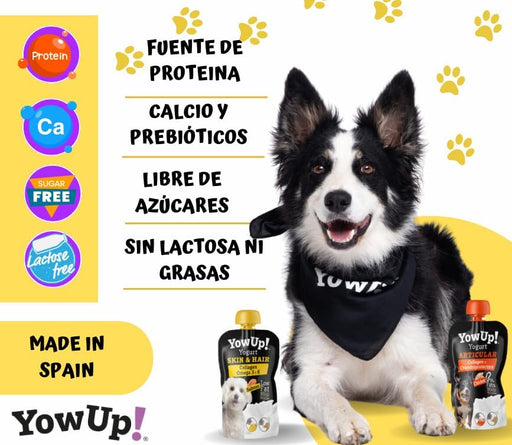 YowUp! Yogurt para cães: Snacks deliciosos naturais e saudáveis para o seu Pet - 3 sabores disponíveis (6 unidades) (3 natural + 3 frango) - PetDoctors - Loja Online