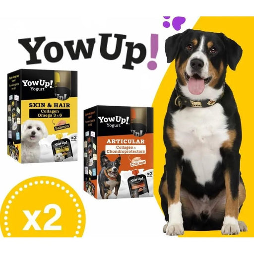 YowUp! Yogurt para cães: Snacks deliciosos naturais e saudáveis para o seu Pet (6 unidades) (3 frango + 3 salmão) - PetDoctors - Loja Online