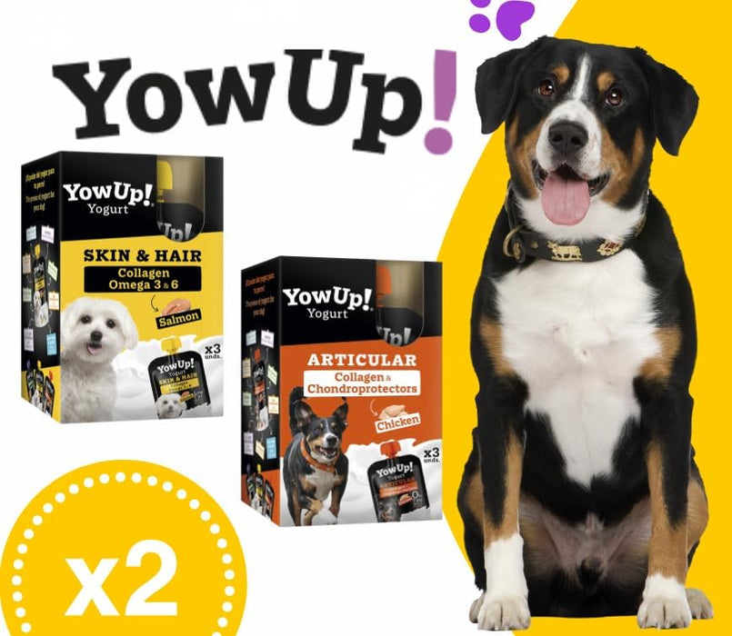 YowUp! Yogurt para cães: Snacks deliciosos naturais e saudáveis para o seu Pet (6 unidades) (3 frango + 3 salmão) - PetDoctors - Loja Online