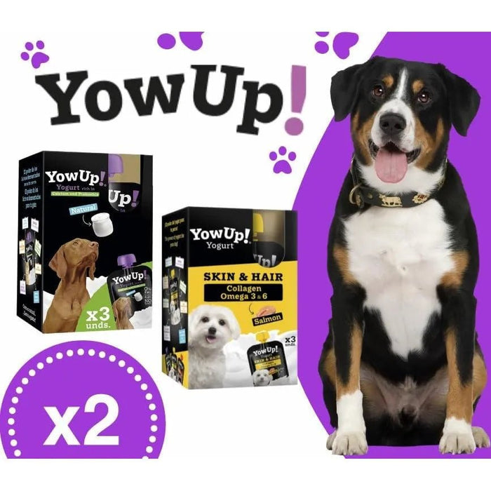 YowUp! Yogurt para cães: Snacks deliciosos naturais e saudáveis para o seu Pet (6 unidades) (3 natural + 3 salmão) - PetDoctors - Loja Online