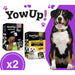 YowUp! Yogurt para cães: Snacks deliciosos naturais e saudáveis para o seu Pet (6 unidades) (3 natural + 3 salmão) - PetDoctors - Loja Online