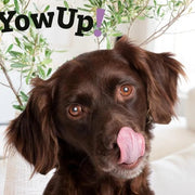 YowUp! Yogurt para cães: Snacks deliciosos naturais e saudáveis para o seu Pet (6 unidades de frango) - PetDoctors - Loja Online