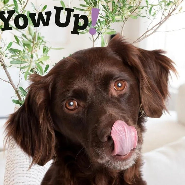YowUp! Yogurt para cães: Snacks deliciosos naturais e saudáveis para o seu Pet (6 unidades de frango) - PetDoctors - Loja Online