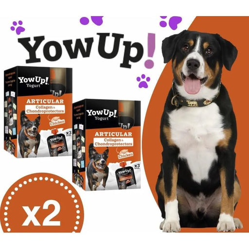 YowUp! Yogurt para cães: Snacks deliciosos naturais e saudáveis para o seu Pet (6 unidades de frango) - PetDoctors - Loja Online