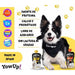 YowUp! Yogurt para cães: Snacks deliciosos naturais e saudáveis para o seu Pet (6 unidades, salmão) - PetDoctors - Loja Online