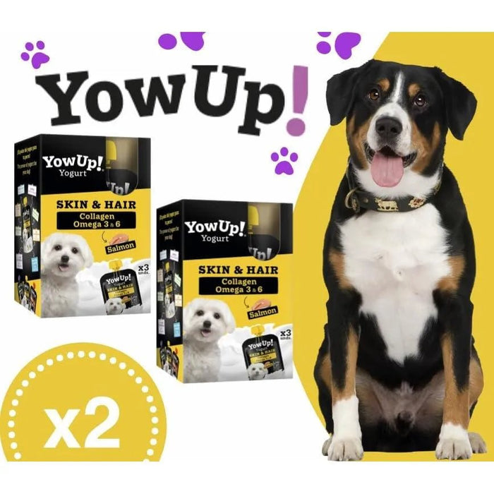 YowUp! Yogurt para cães: Snacks deliciosos naturais e saudáveis para o seu Pet (6 unidades, salmão) - PetDoctors - Loja Online