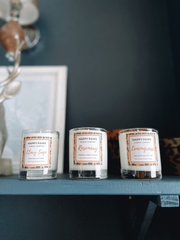 Rosemary - Vela Aromática de Alecrim 'Pet Friendly' - PetDoctors - Loja Online