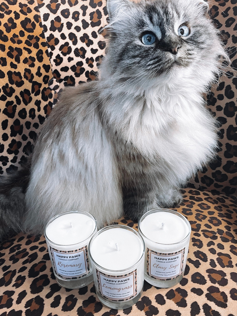 Lemongrass - Vela Aromática de Limão 'Pet Friendly' - PetDoctors - Loja Online