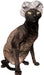 Toucas de Banho para Gatos Sphynx ou Cães de Raças Pequenas - 20 unidades - PetDoctors - Loja Online
